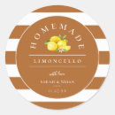 Zoek naar oranje streep stickers Sjabloon