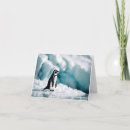 Zoek naar pinguïn notitiekaarten Blauw