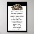 Zoek naar grappige labrador posters Vriend