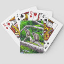 Zoek naar apen speelkaarten Aap