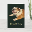 Zoek naar smiling briefkaarten Hond