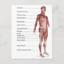 Zoek naar spierstelsel posters Uitzicht