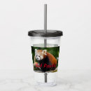 Zoek naar firefox Rode panda