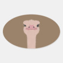 Zoek naar grappige struisvogel stickers Wild
