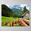 Zoek naar oud hout posters Mooi