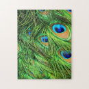 Zoek naar peacock puzzels Veren
