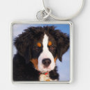Zoek naar bernese mountain dog sleutelhangers Gezelschapsdieren
