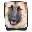 Zoek naar herder rugzakken Hond