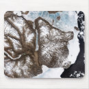 Zoek naar groenland muismatten Ijs