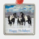 Zoek naar hengst ornamenten Merrie