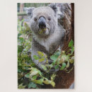 Zoek naar koala puzzels Bomen