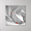 Zoek naar macro kunst Closeup