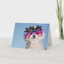 Zoek naar hond kostuum posters Puppy