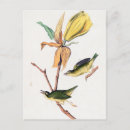 Zoek naar illustrations briefkaarten Vintage