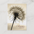 Zoek naar dandelion visitekaartjes Flora