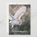 Zoek naar flight uitnodigingen Vlucht