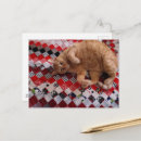 Zoek naar quilt briefkaarten Uniek