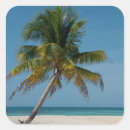 Zoek naar palmboom stickers Blauw