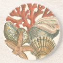 Zoek naar kevers onderzetters Natuur