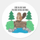 Zoek naar bever dier posters Natuur