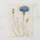 Zoek naar cornflower briefkaarten Voor haar