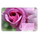 Zoek naar de zomer magneten Natuur