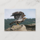 Zoek naar eagle visitekaartjes Kaal