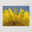 Zoek naar bijen briefkaarten Voor haar