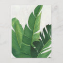 Zoek naar bladeren briefkaarten Botanisch