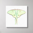 Zoek naar moth kunst Waterverf