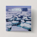 Zoek naar ijsbergen buttons Antarctica