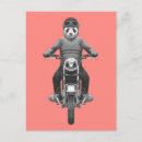 Zoek naar motorfiets briefkaarten Helm