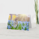 Zoek naar chipmunks kaarten Schattig