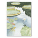 Zoek naar koi Vijver