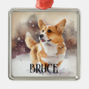 Zoek naar welsh corgi ornamenten Sneeuw