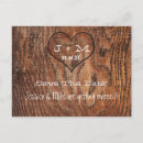 Zoek naar houten boomstam Romantisch