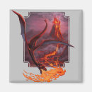 Zoek naar dragon magneten Mythe