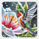 Zoek naar kolibrie stickers Vogel