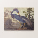 Zoek naar audubon puzzels Kustvogel