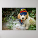 Zoek naar puppy fotografie Dier