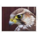 Zoek naar scharnier kaarten Vogel