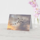 Zoek naar kanker patiënt kaarten Ondersteuning