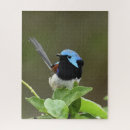 Zoek naar bont puzzels Natuur