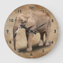Zoek naar afrikaanse olifant klokken Foto