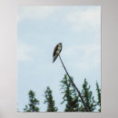 Zoek naar sprei posters Natuur