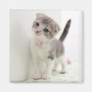 Zoek naar schot magneten Dier