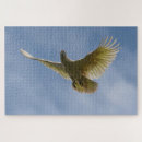 Zoek naar kaketoe puzzels Cockatoo