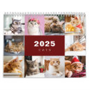 Zoek naar grappige katten kalenders 2025