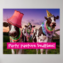 Zoek naar grappige koeien posters Humor