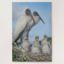 Zoek naar bedankt puzzels Natuur